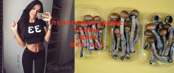 стафф Карталы