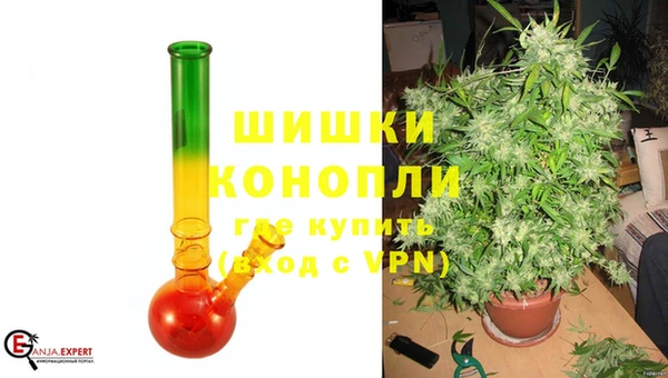 крисы Инта