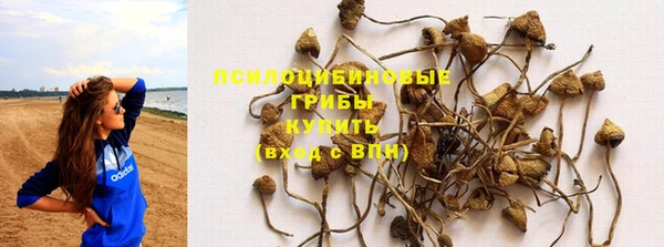 винт Каменногорск